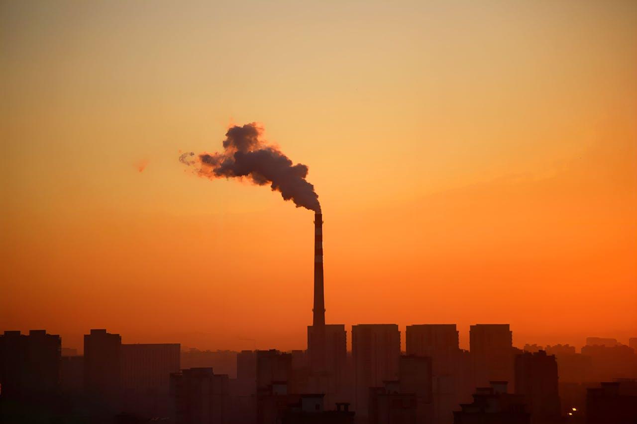 Tutorial 11 – Environmental toxins close to home and natural solutions to every single one of them